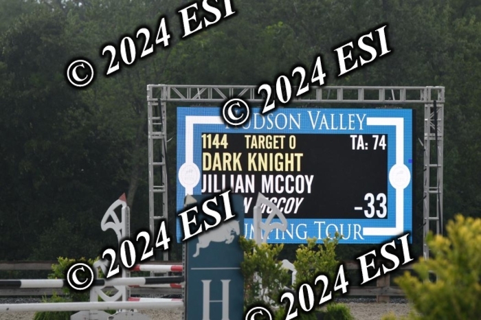 208DK1_1381