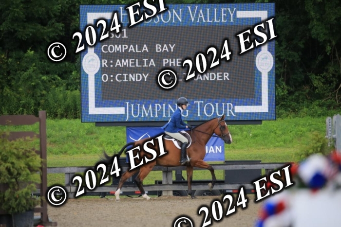 515AC2_8940