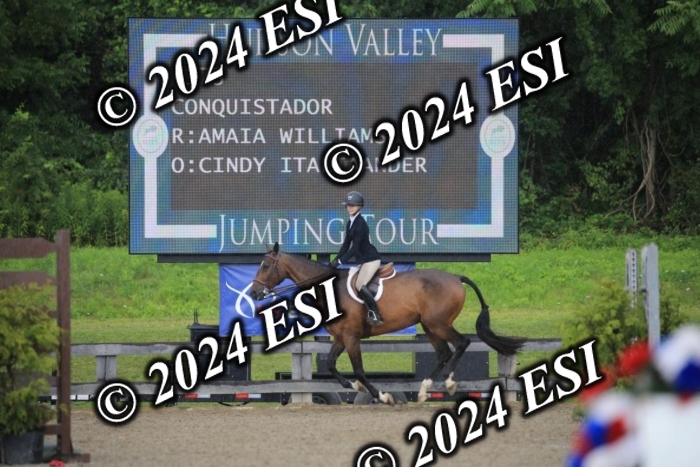 515AC2_9015