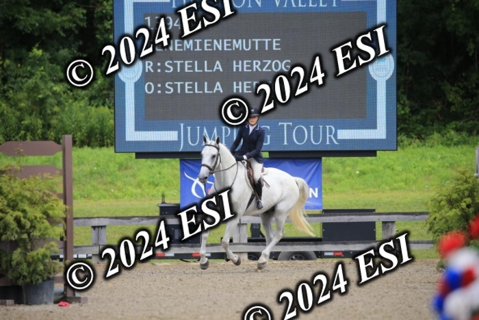 515AC2_9165