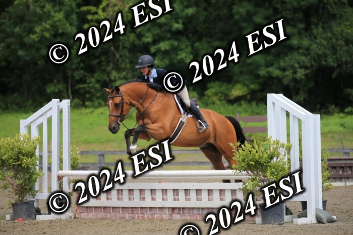 515AC2_9196
