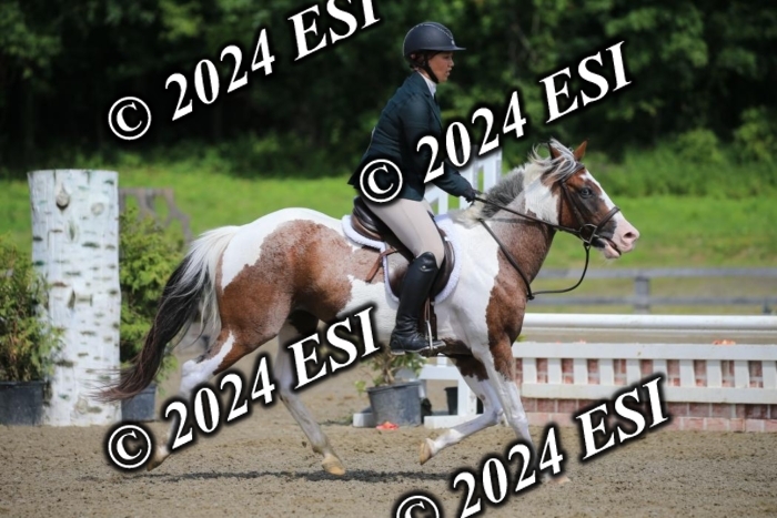 515AC2_9293