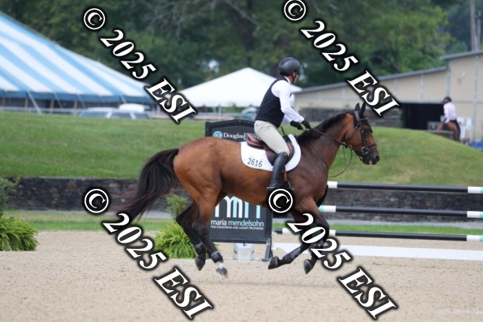 417AO5I3824