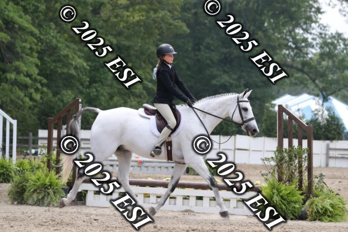 361AO5I7362