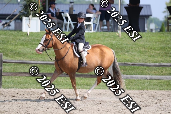 765AO5I6227