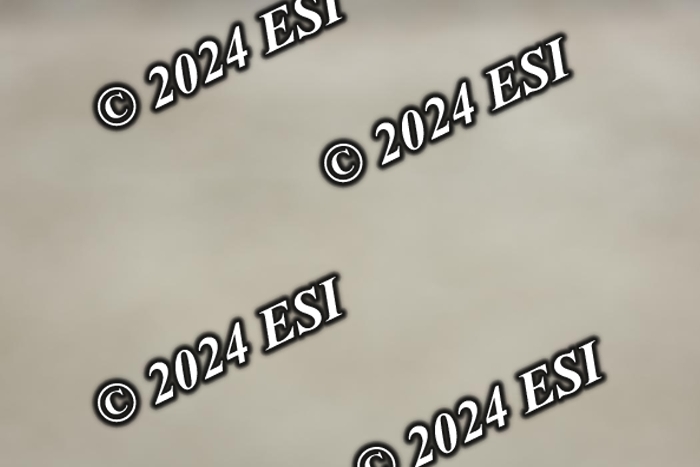 722DI7_1028