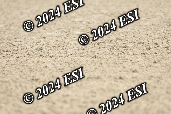 722DI7_1158