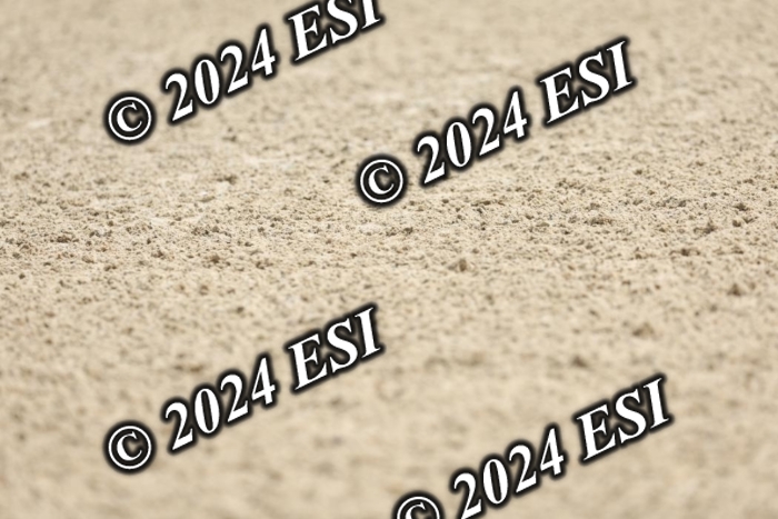 722DI7_1159
