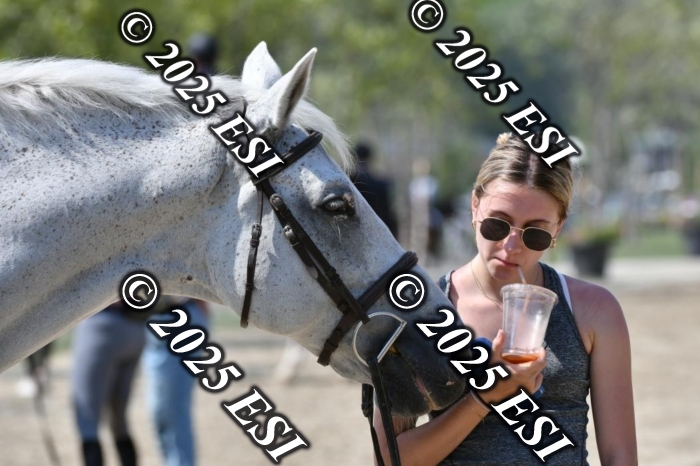 888617DK2_2383