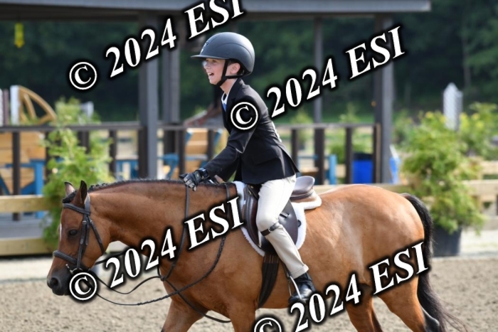 017DK1_1677