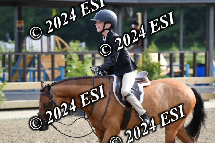 017DK1_1678