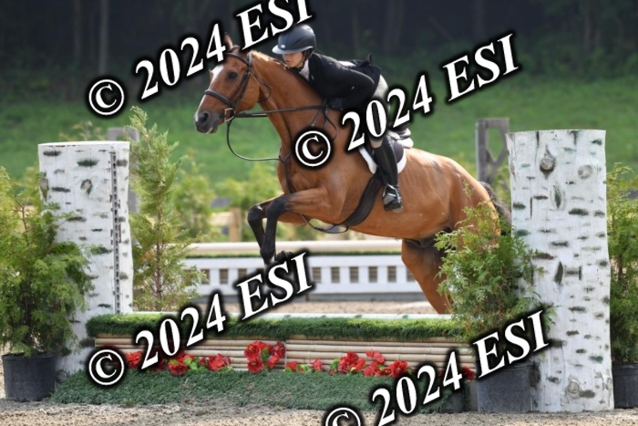 017DK1_1682