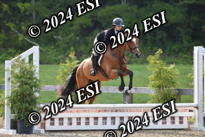 017DK1_1683