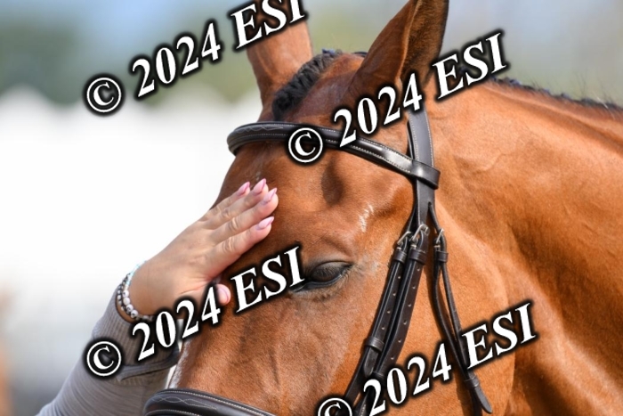 017DK1_1687