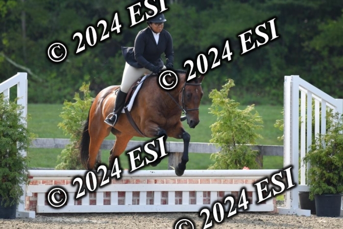 017DK1_1692