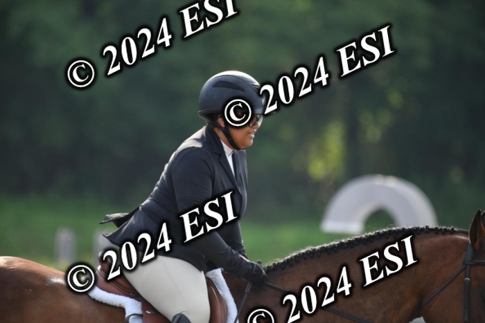 017DK1_1693