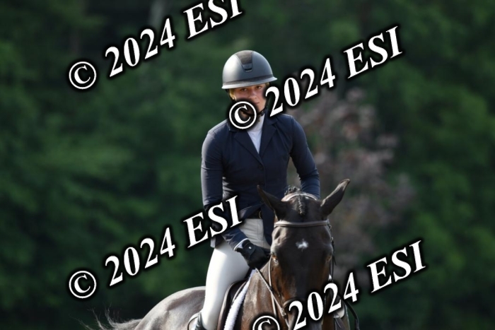 017DK1_1701