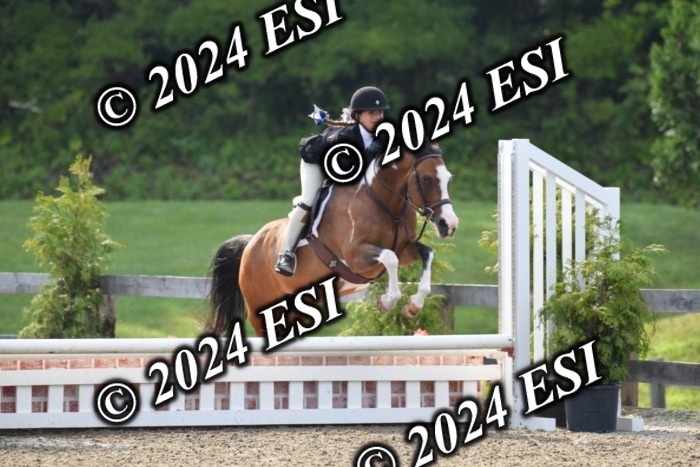 017DK1_1707