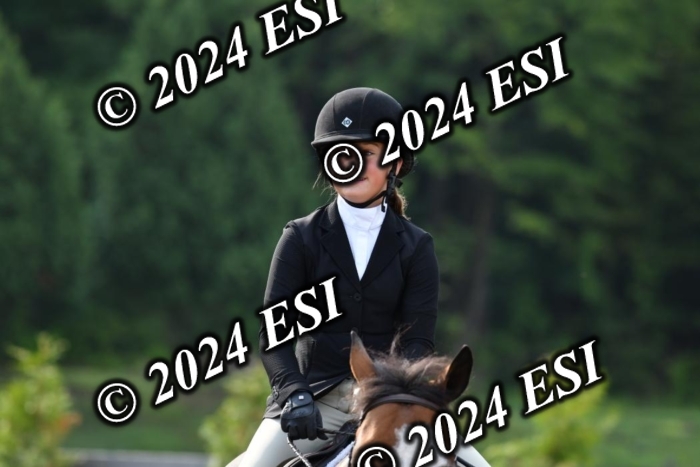 017DK1_1711