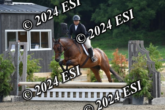 017DK1_1729