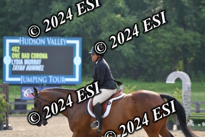 017DK1_1731