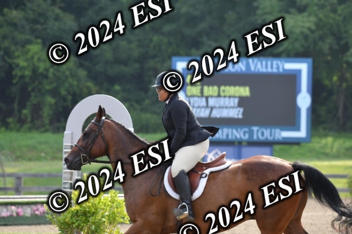 017DK1_1732