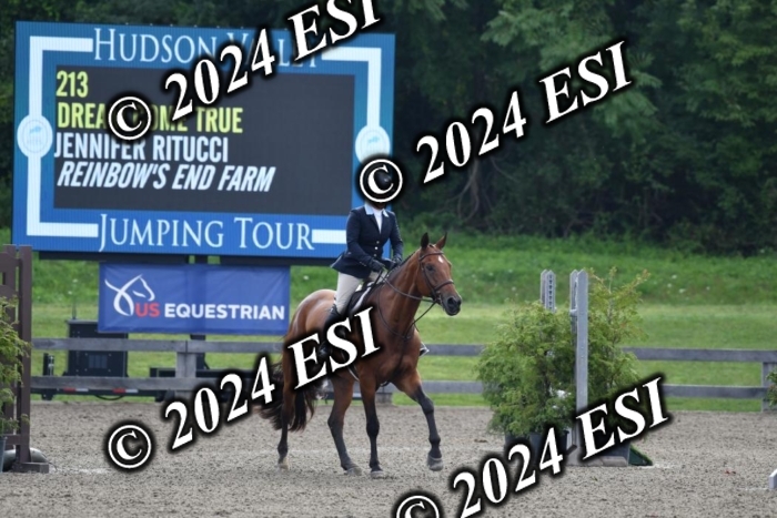017DK1_1739