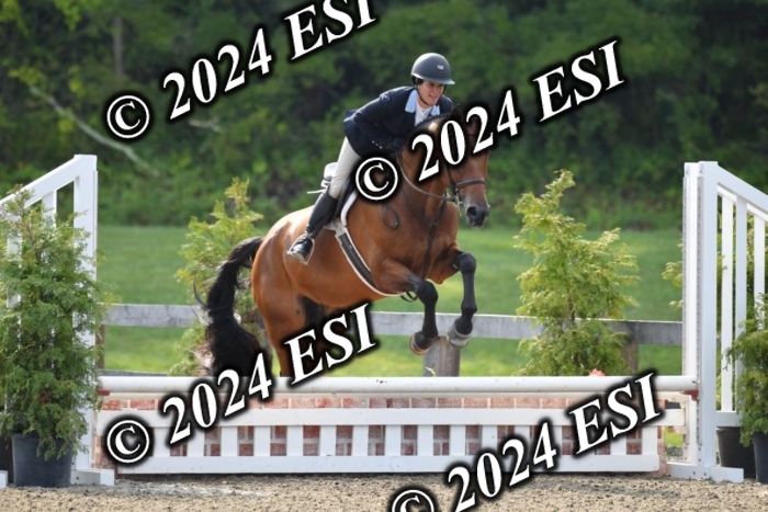 017DK1_1744