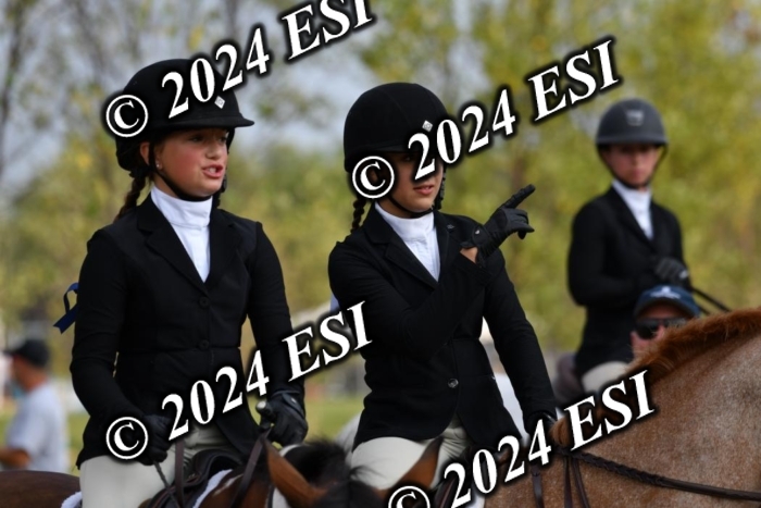017DK1_1746