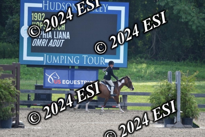017DK1_1750