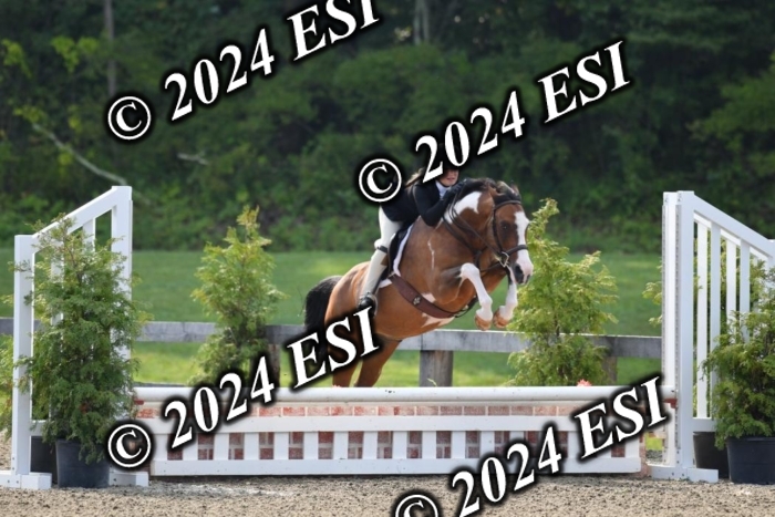 017DK1_1753
