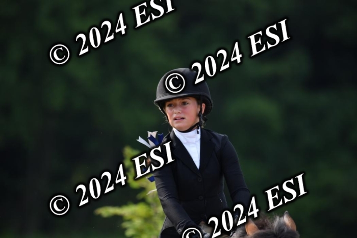 017DK1_1754