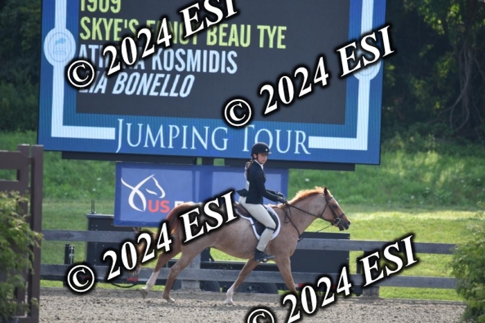 017DK1_1761