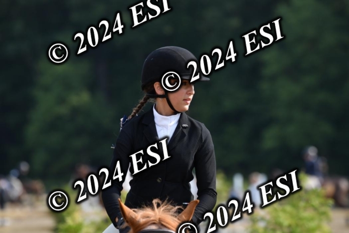 017DK1_1764