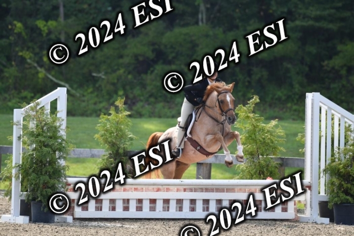 017DK1_1765