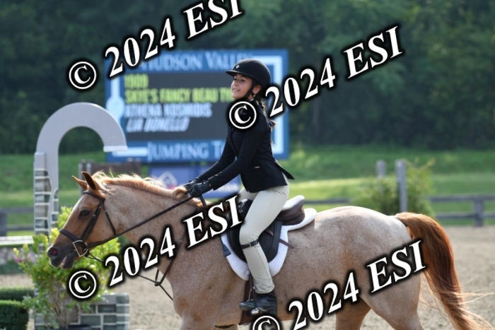 017DK1_1767