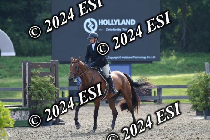 017DK1_1769