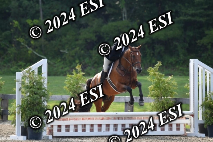 017DK1_1771