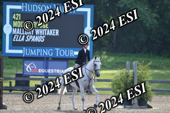 017DK1_1776