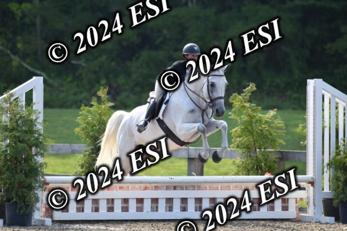 017DK1_1779