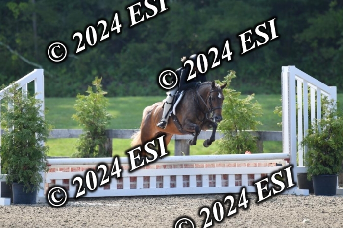 017DK1_1784