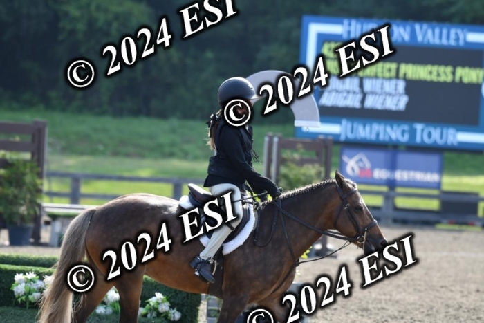 017DK1_1788