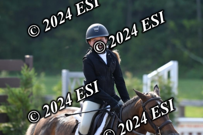 017DK1_1789
