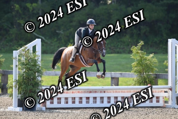 017DK1_1794