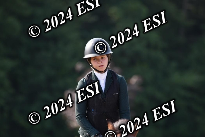 017DK1_1795