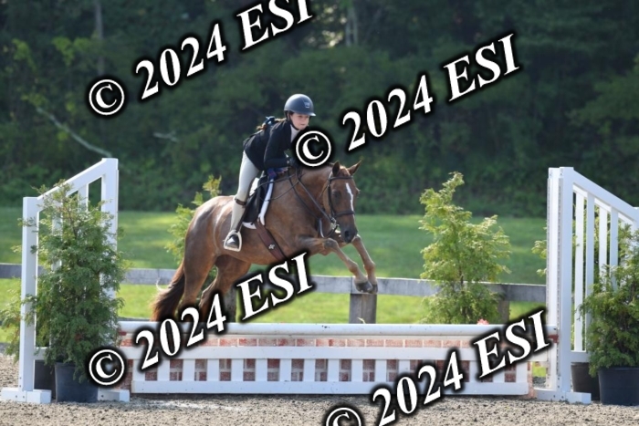 017DK1_1804