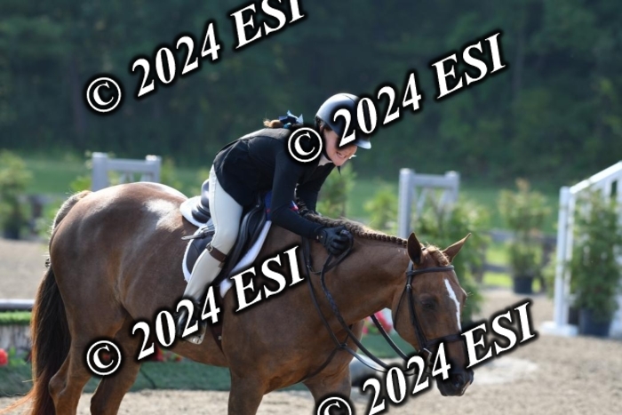 017DK1_1806