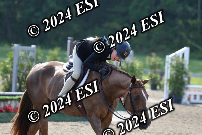 017DK1_1807