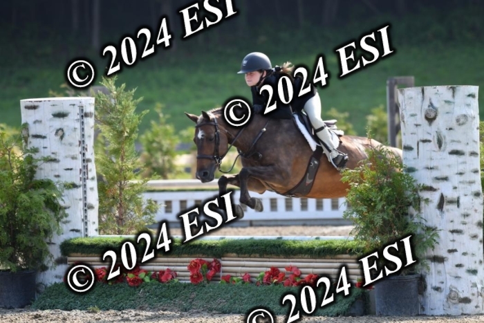 017DK1_1819