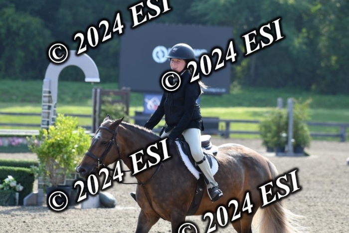 017DK1_1826